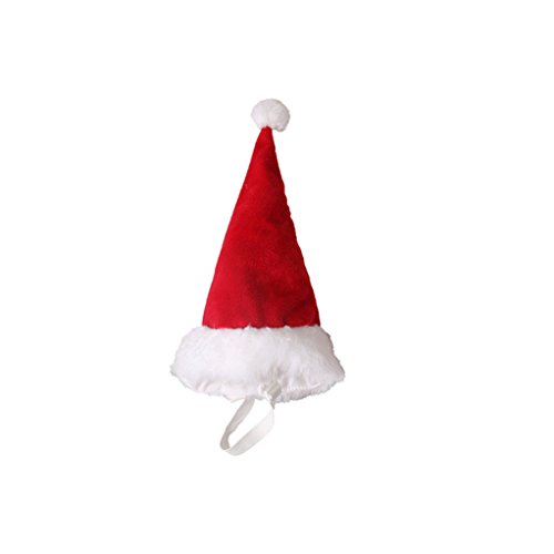 rote Weihnachtsmütze Stillshine (L) - 2