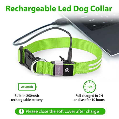Leuchthalsband 100% Wasserdichtes Leuchtendes Hunde Halsband - 8